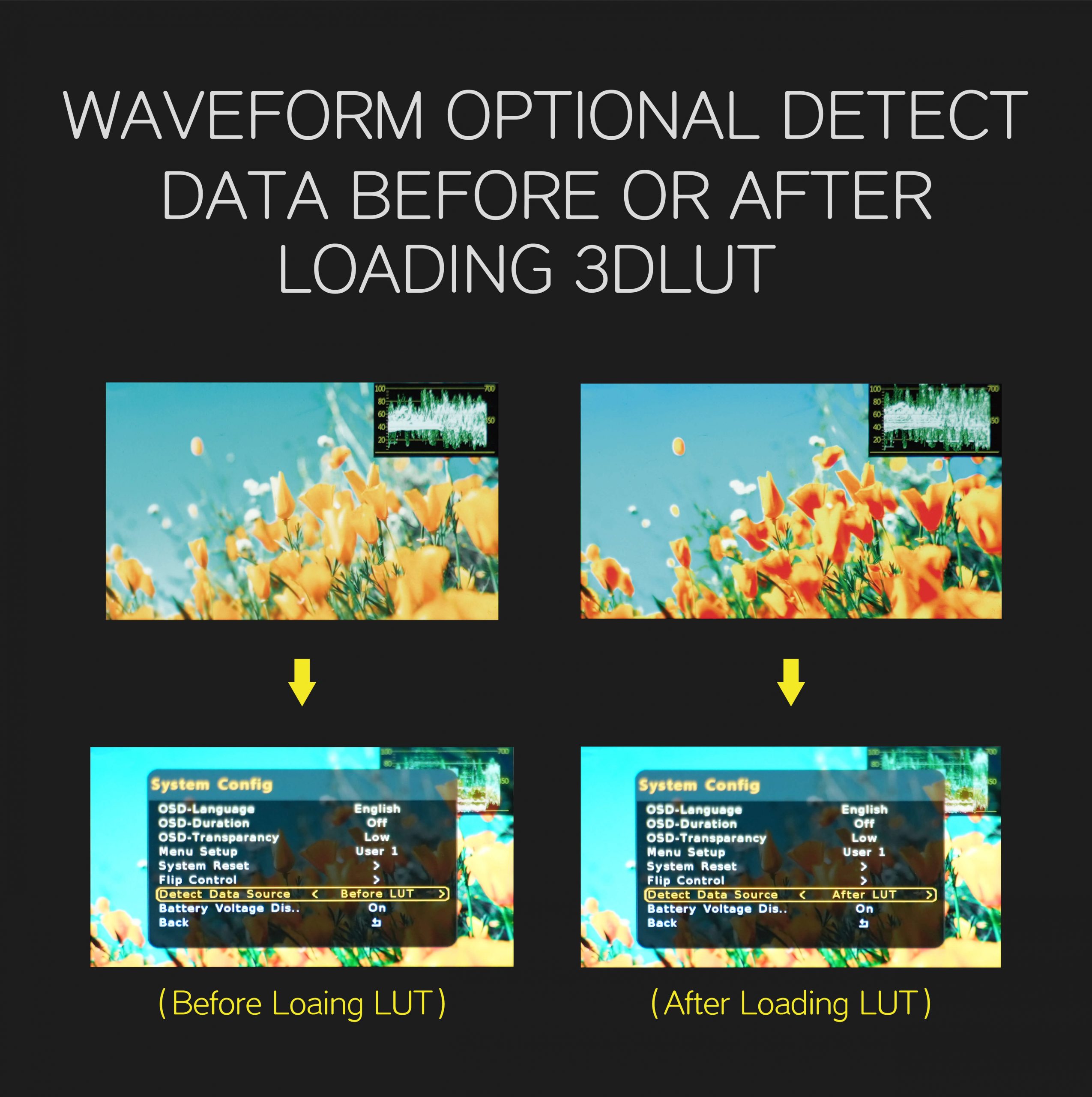 leye sdi 4 scaled leye sdi 4 scaled