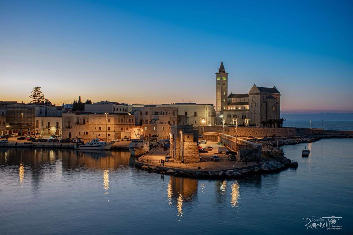 MK-25095CFMF-RF