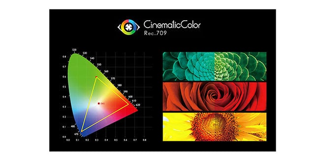 SEETEC P238-9HSD-CO