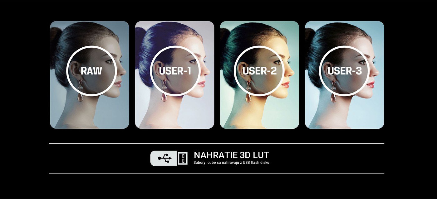 Lilliput BM230-4KS – infografika 4