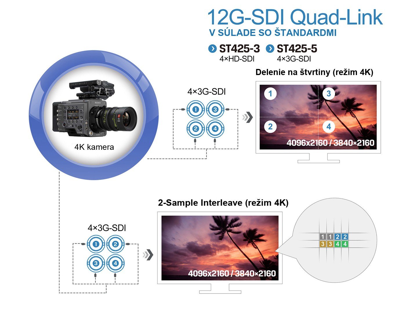 Lilliput BM230-12G – infografika 4