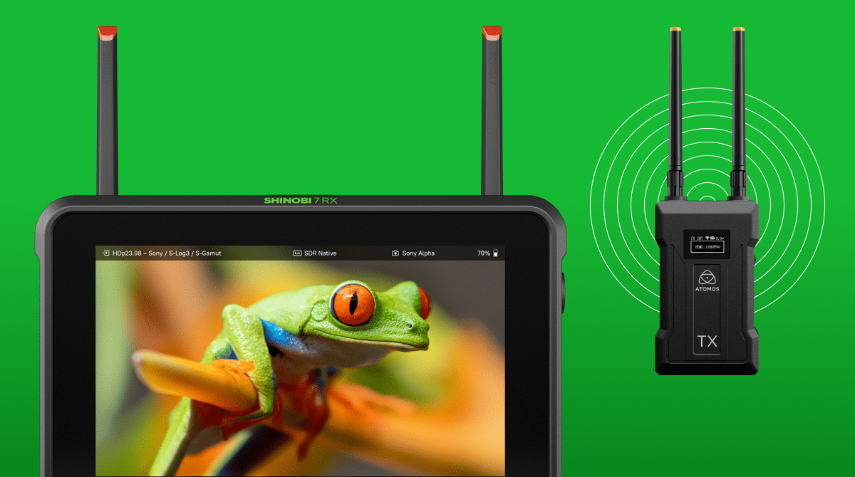 Atomos Shinobi 7 RX s bezdrôtovým vysielačom Atomos TX
