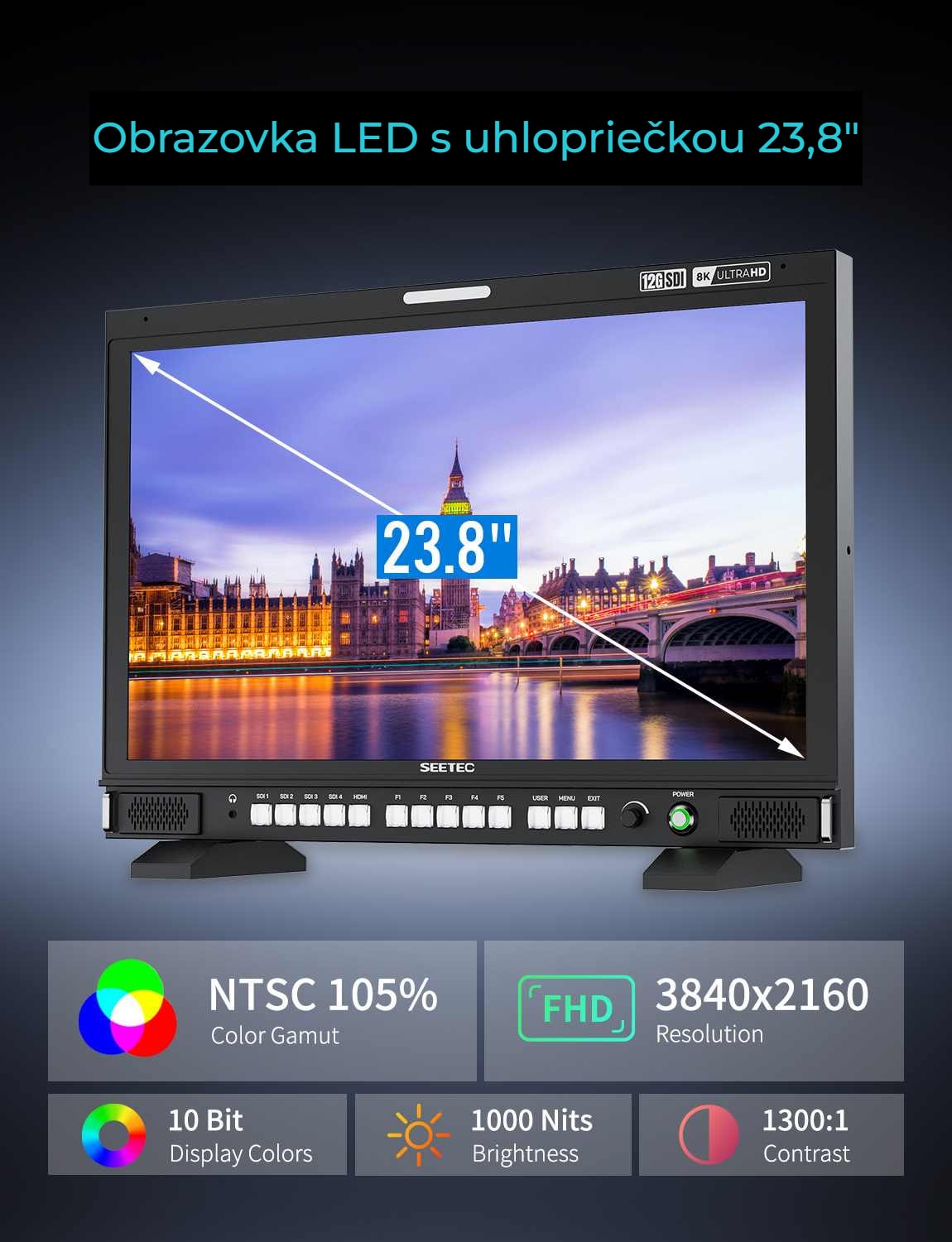 SEETEC S24
