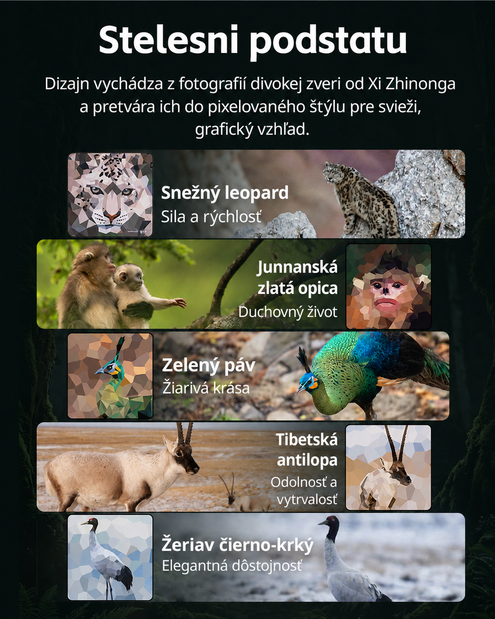 SmallRig 5925 infographic 02